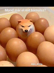 a picture of a dog surrounded by eggs with the caption mond mar el mit baumlsz