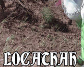 a picture of a person standing in the dirt with the word lochachak written on the bottom