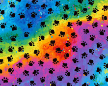 a rainbow background with paw prints on it