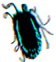 a blurry picture of a bug with a green and blue border