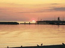 a sunset over a body of water with birds on the beach