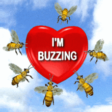 a red heart with the words " i 'm buzzing " surrounded by bees