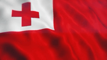 the flag of tonga is waving in the wind