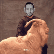 a man with a beard is standing next to a large goat with horns