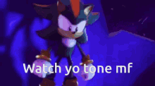 a picture of shadow the hedgehog with the words watch yo tone mf