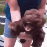 a woman is holding a small dog with its mouth open .