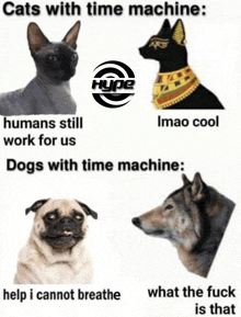 cats with time machine humans still work for us dogs with time machine help i cannot breathe what the fuck is that meme