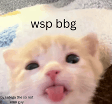 a close up of a cat with its tongue hanging out and the words wsp bbg written above it