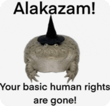 a frog wearing a witch hat with the words " alakazam your basic human rights are gone " below it