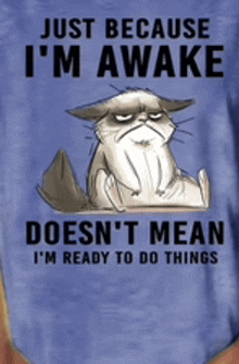 a t-shirt that says just because i 'm awake