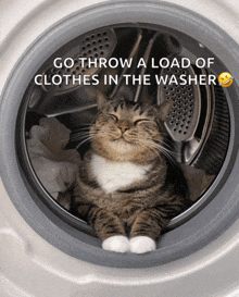 a cat sitting in a washing machine with the words go throw a load of clothes in the washer