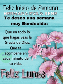 a blue background with pink flowers and the words " feliz lunes "