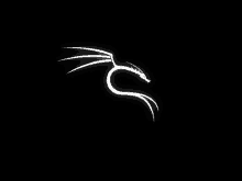 a white dragon on a black background with wings and a tail