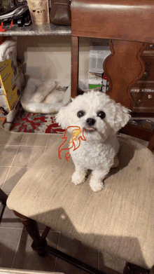 a small white dog is sitting on a chair with a drawing of a flamingo on it