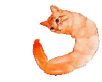 a shrimp that looks like a cat with a white background