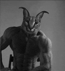 a black and white photo of a cat without a shirt on