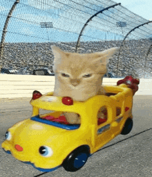 a kitten is riding in a yellow toy bus on a race track