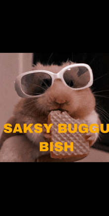 a hamster wearing sunglasses is eating a waffle with the words " saksy buggu bish " written above it