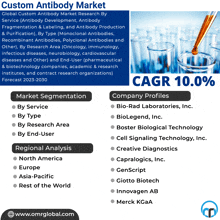 a flyer for a custom antibody market with a list of companies and their profiles