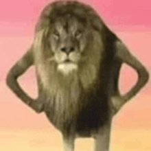 a lion is standing with his hands on his hips and looking at the camera .