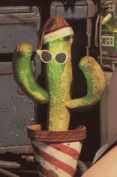 a cactus with sunglasses and a santa hat