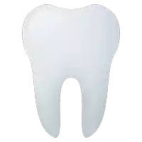 a white tooth with a small hole in it