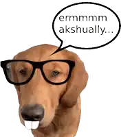 a dog wearing glasses and a speech bubble that says " ermmmm akshually "