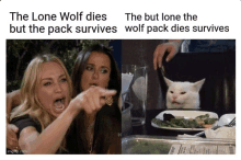 a meme that says the lone wolf dies but the pack survives and the but lone the wolf pack dies survives