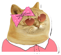 a cat with a pink bow and sunglasses on its head