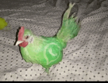 a green chicken is sitting on a bed