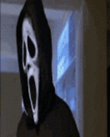 a person wearing a hooded sweatshirt with a mask on their face .