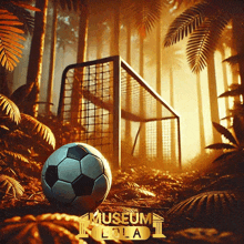 a soccer ball is in the middle of a forest with the words museum lola