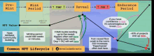 a diagram of a common nft lifecycle shows the stages of minting