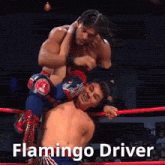 two men are wrestling in a ring with the words flamingo driver on the bottom