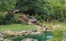 a pond surrounded by rocks and trees in the middle of a forest .