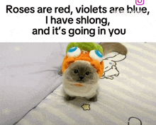 a cat wearing a fish hat says roses are red violets are blue