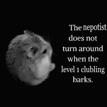 a black and white photo of a hamster with a quote on it