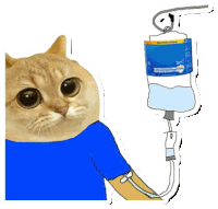 a cat is wearing a blue shirt and has an iv drip attached to its arm .