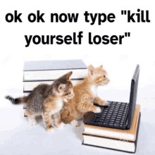 two kittens are looking at a laptop with the words " ok ok now type " kill yourself loser " above them