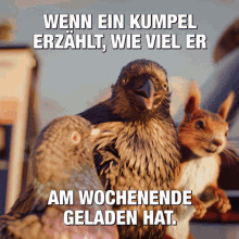 two birds and a squirrel are standing next to each other with the caption wenn ein kumpel erzahlt