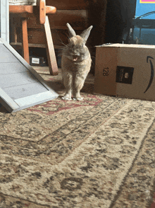 a rabbit standing next to a box that says 128