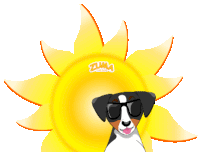 a dog wearing sunglasses stands in front of a sun with zuma written on it