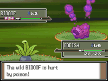 a screenshot of a video game with the wild biddof being hurt by poison