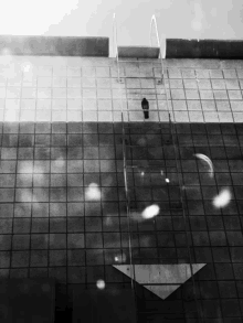 a black and white photo of a staircase with a bird on top of it