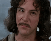 a man with long curly hair and a mustache is looking at the camera