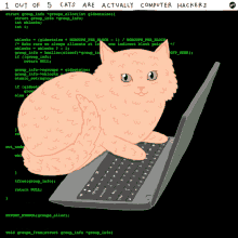 a cat laying on top of a laptop with the words " out of 5 cats are actually computer hackers " at the top