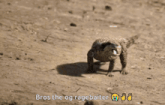 a picture of a dinosaur with the words bros the og ragebaiter on the bottom