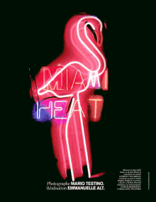 a neon flamingo with the word miami heat written on it