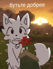 a white cat is holding a red rose in front of a sunset in a minecraft world .