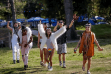 a group of people are walking through a grassy field and one of them is wearing a white fur coat